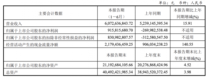 彩虹股份2024年上半年净利润9.16亿元